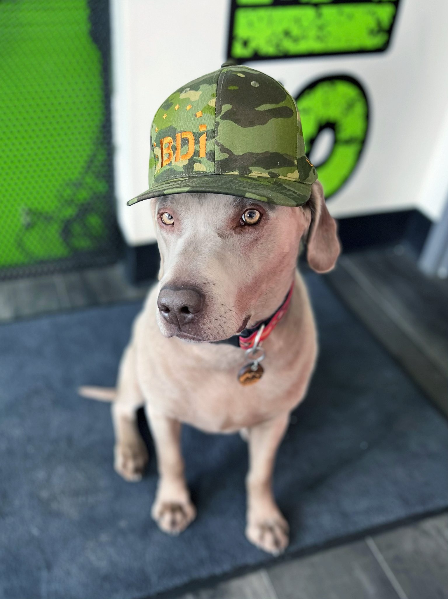 Parts Supply Brandell Diesel